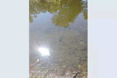 412 Ruskey Lane, Hyde Park, NY 12538 - Photo 44