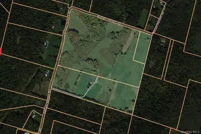 104 William Herbert Road, Obernburg, NY 12736 - Photo 42