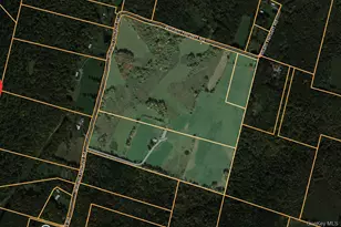 104 William Herbert Rd, Obernburg, NY 12736 - Photo 42