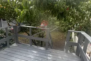 2339 Barnes Ave, Bronx, NY 10467 - Photo 8