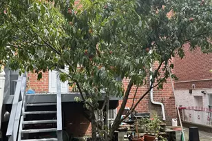 2339 Barnes Ave, Bronx, NY 10467 - Photo 4