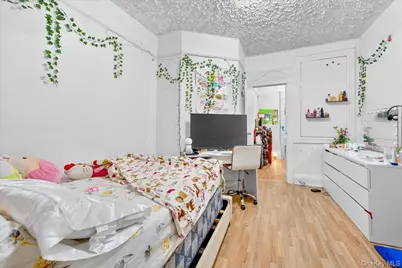 255 Ridgewood Avenue, Brooklyn, NY 11208 - Photo 22