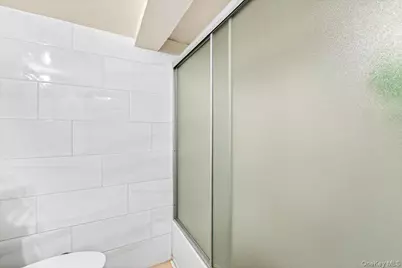 255 Ridgewood Avenue, Brooklyn, NY 11208 - Photo 46