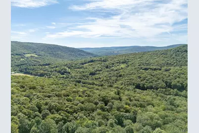 60 Alder Creek Road, Livingston Manor, NY 12758 - Photo 14