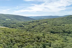 60 Alder Creek Rd, Livingston Manor, NY 12758 - Photo 14