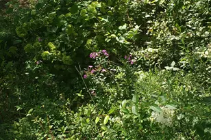 33 Rocky Trail, Wurtsboro, NY 12790 - Photo 32