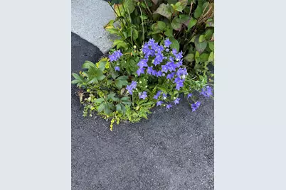 172 Swan Lane, Poughkeepsie, NY 12603 - Photo 34