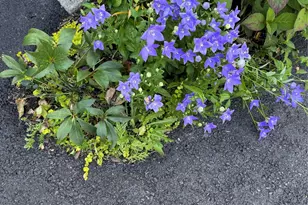 172 Swan Ln, Poughkeepsie, NY 12603 - Photo 34