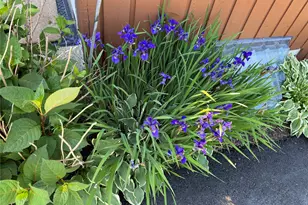 172 Swan Ln, Poughkeepsie, NY 12603 - Photo 32