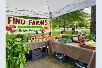 172 Swan Lane, Poughkeepsie, NY 12603 - Photo 44