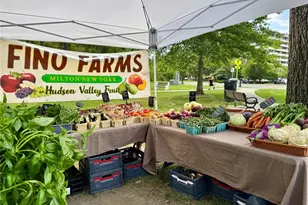 172 Swan Ln, Poughkeepsie, NY 12603 - Photo 44