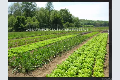 172 Swan Lane, Poughkeepsie, NY 12603 - Photo 48