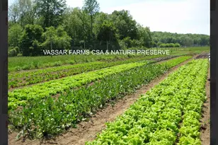 172 Swan Ln, Poughkeepsie, NY 12603 - Photo 48