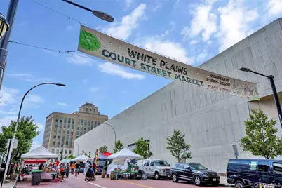 157 Fisher Avenue, White Plains, NY 10606 - Photo 42