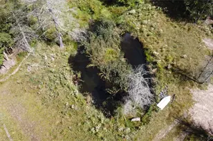 226 Goff Rd, Livingston Manor, NY 12758 - Photo 2