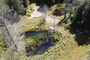 226 Goff Rd, Livingston Manor, NY 12758 - Photo 14