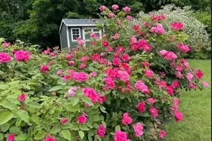 9 Beadart Pl, Hyde Park, NY 12538 - Photo 24