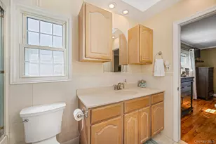 42 Apricot Pl, Ronkonkoma, NY 11779 - Photo 28