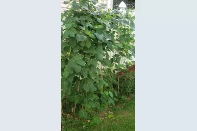 18 S 11th Avenue, Mount Vernon, NY 10550 - Photo 34