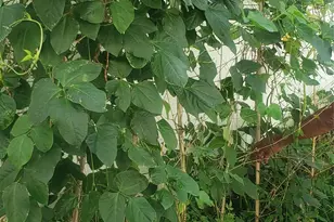 18 S 11th Ave, Mount Vernon, NY 10550 - Photo 34