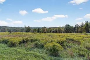 441 Scotchtown Collabar Rd, Middletown, NY 10941 - Photo 48