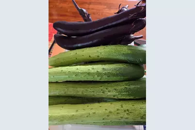 247 Croydon Road, Yonkers, NY 10710 - Photo 38