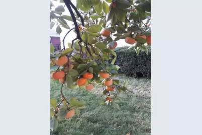 247 Croydon Road, Yonkers, NY 10710 - Photo 44