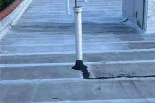 800 Crown St, Brooklyn, NY 11213 - Photo 6