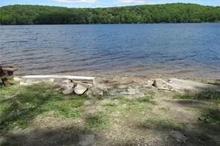 49 Lakeview Dr, Holmes, NY 12531 - Photo 34