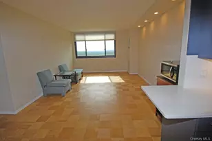 269-10 Grand Central Pkwy, Floral Park, NY 11005 - Photo 4