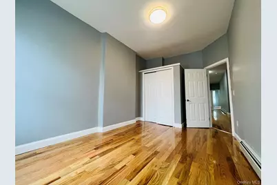 165 Chestnut Street, Brooklyn, NY 11208 - Photo 8