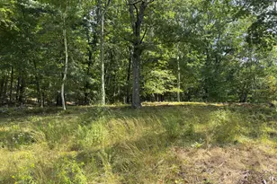 42 E Pond Lilly Rd, Ancram, NY 12502 - Photo 4