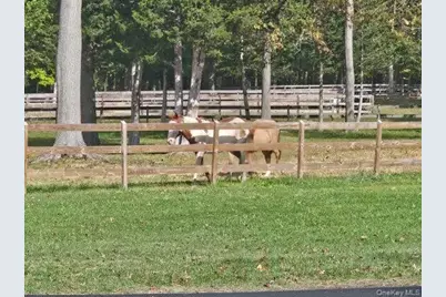 34 Bigert Drive, New Hampton, NY 10958 - Photo 34