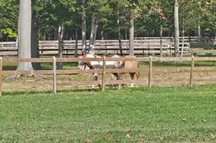 34 Bigert Dr, New Hampton, NY 10958 - Photo 34