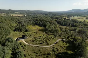 78 Waldorf Ridge Rd, Copake Falls, NY 12516 - Photo 2