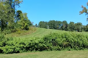 131 Pleasantvale, Tivoli, NY 12583 - Photo 2