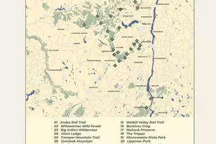 14 Red Rock Rd, Grahamsville, NY 12489 - Photo 22