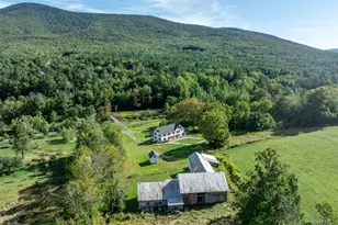 3 Leon Macglashan Rd, Windham, NY 12496 - Photo 4