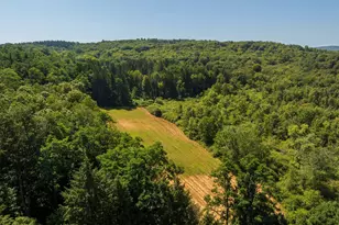 425 Camby Rd, Verbank, NY 12585 - Photo 36