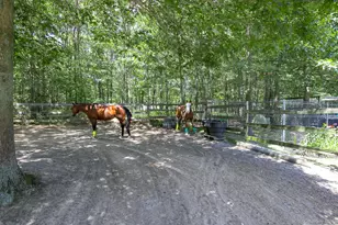 168 Brookfield Ave, Center Moriches, NY 11934 - Photo 20