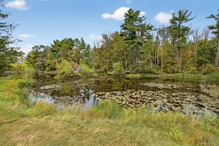 1122 Co Rte 31, Glen Spey, NY 12737 - Photo 46