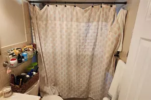 109 Merrill St, Brentwood, NY 11717 - Photo 14