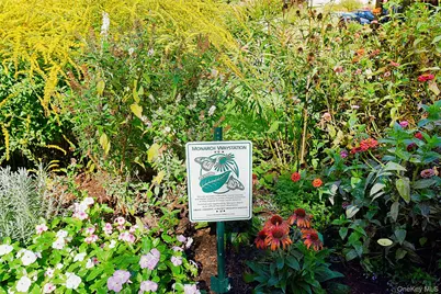 4 Park Lane #4B, Mount Vernon, NY 10552 - Photo 16