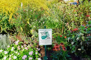 4 Park Ln, Mount Vernon, NY 10552 - Photo 16