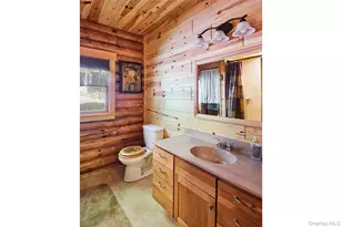 168 Meyer Rd, Livingston Manor, NY 12758 - Photo 14