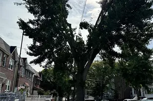 927 E 219th St, Bronx, NY 10469 - Photo 4