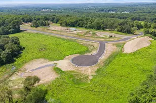 Lot #8 Azalea Ln, Slate Hill, NY 10973 - Photo 10