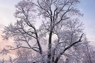 17 Pinewood Rd, Manhasset, NY 11030 - Photo 26