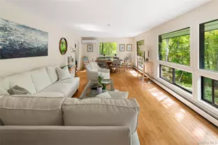 29 Alice Rd, Mount Kisco, NY 10549 - Photo 8