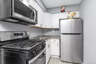 195 N Village Ave, Rockville Centre, NY 11570 - Photo 12